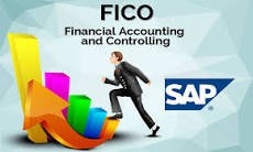 Financial Accounting and Controlling ( SAP FICO )